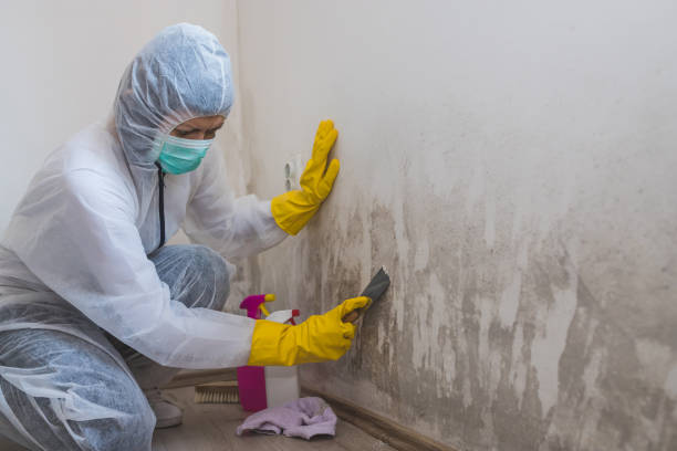 Mold Documentation for Insurance Claims in Richgrove, CA